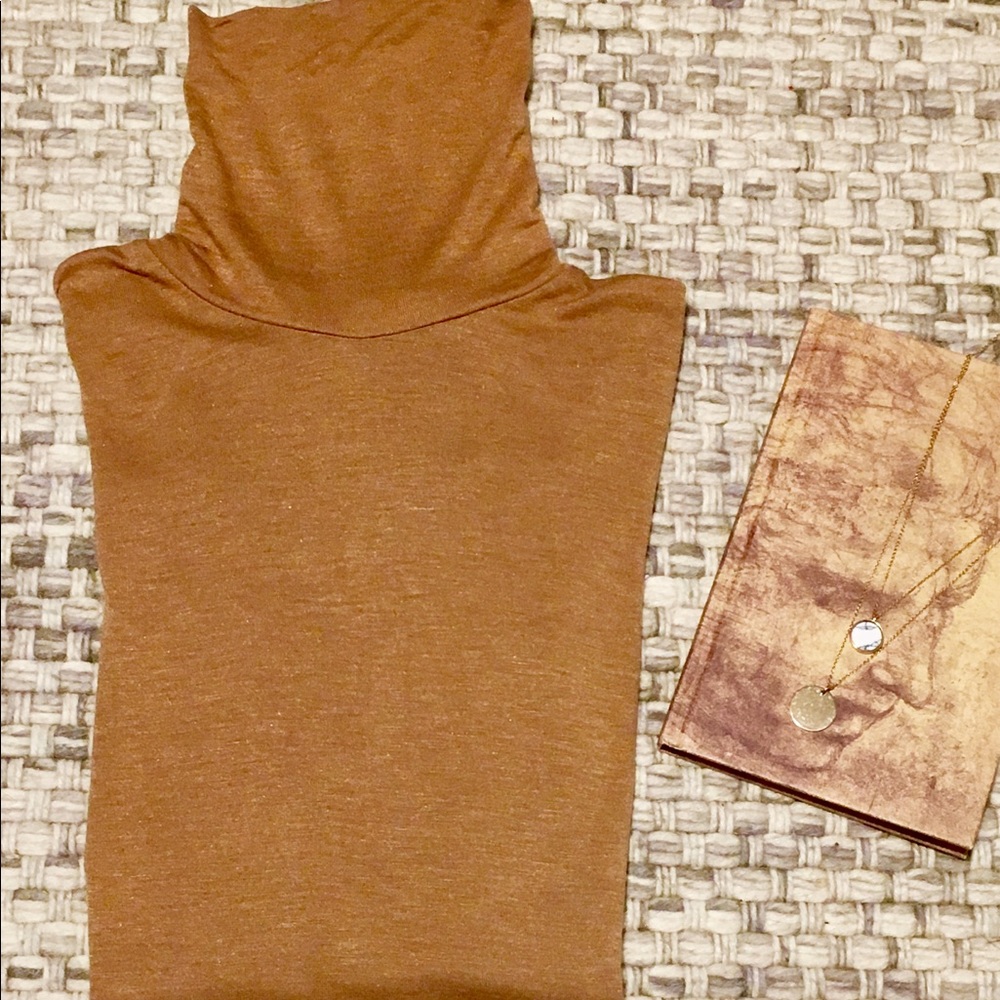 Zara Camel knit turtleneck